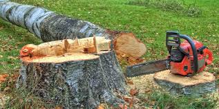 Best Tree Disease Treatment  in Wytheville, VA
